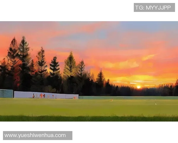 足球大师与球星共谱传奇时刻 探索绿茵场上的荣耀与梦想