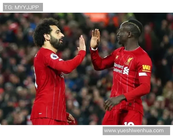 足球球星身价涨幅趋势解析与未来潜在价值全面深度研究